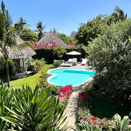 וואטאמו Dama Villa מראה חיצוני תמונה