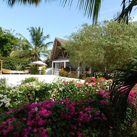 וואטאמו Dama Villa מראה חיצוני תמונה