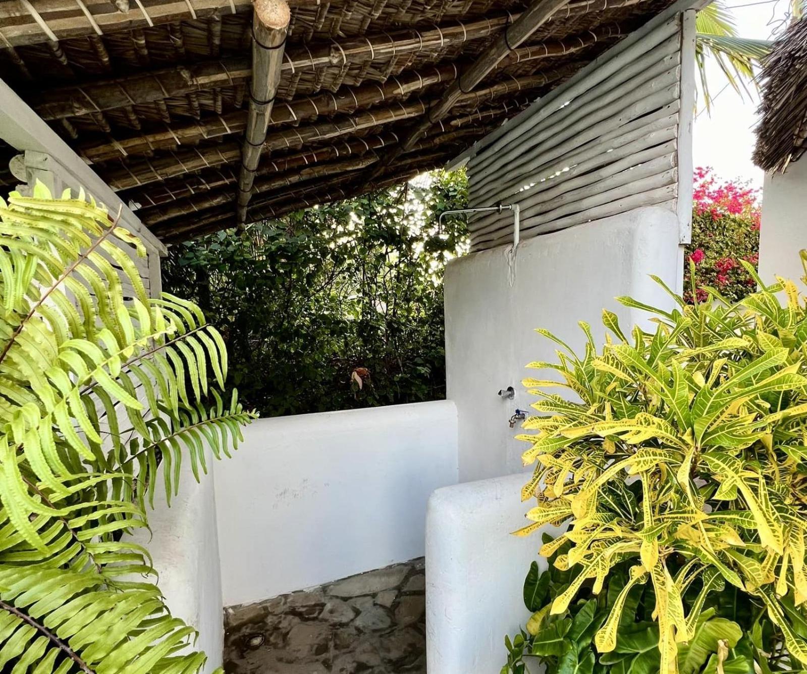 וואטאמו Dama Villa מראה חיצוני תמונה