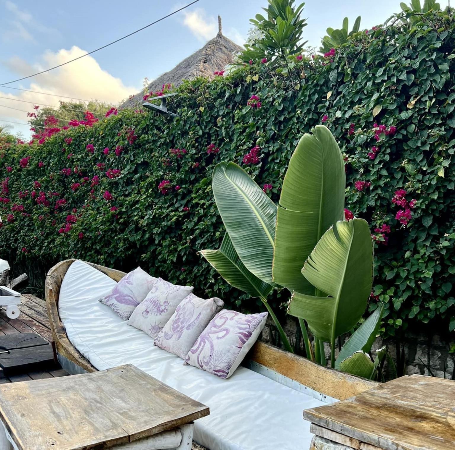 וואטאמו Dama Villa מראה חיצוני תמונה